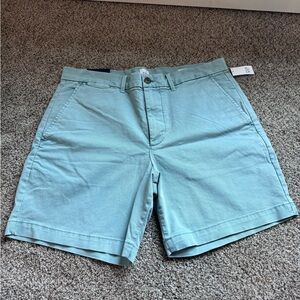 GAP Men's Light Green Flat Front Shorts